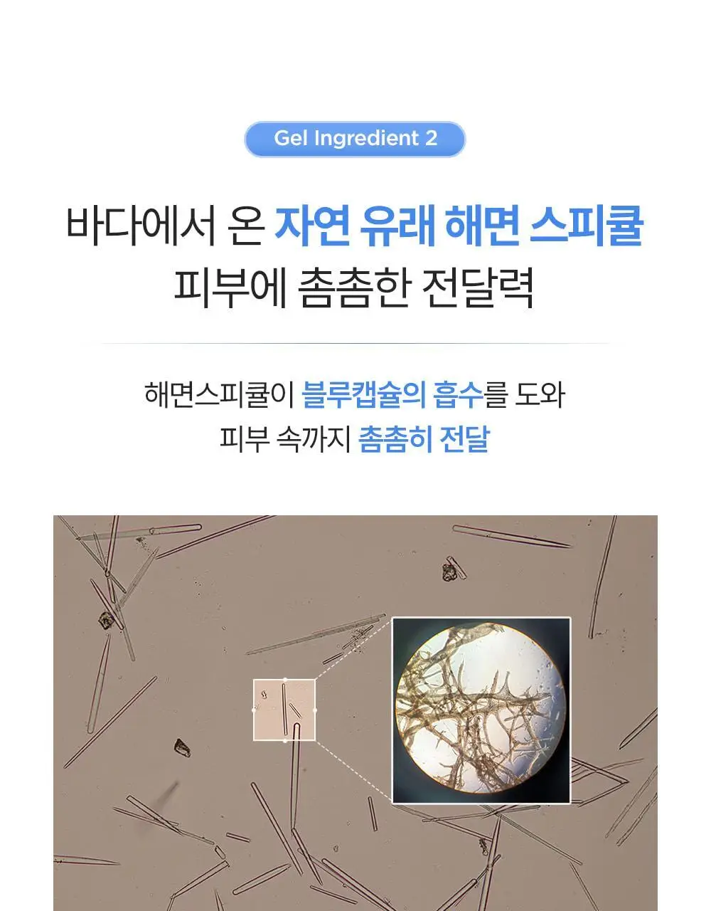 [60개 블루캡슐/수분볼륨 입체광] 피캄 PDRN 카페인 블루캡슐 60 크림 50ml 상세페이지 36